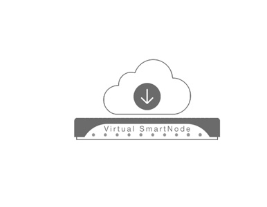CBFL-VPN-TUN1 - Cloud Based Feature License (12 month) to enable 1 VPN Session (OpenVPN, IPSec and L2TP) by PATTON